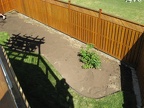 IMG 0067 01