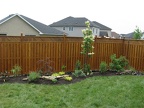 IMG 0091 01