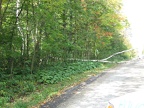 IMG 5475 01