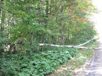 IMG 5477 01