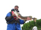 IMG 6536 01