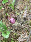 IMG 6565 01