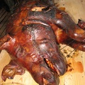 IMG 6597 01