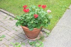 IMG 2755 01