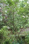 IMG 2761 01
