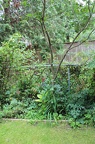 IMG 2762 01