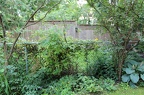 IMG 2763 01