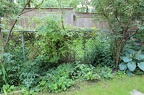 IMG 2764 01