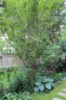 IMG 2765 01