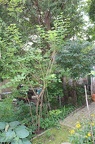 IMG 2766 01