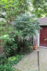 IMG 2767 01