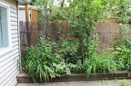 IMG 2768 01