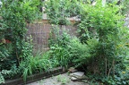 IMG 2769 01