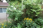 IMG 2770 01