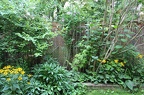 IMG 2771 01