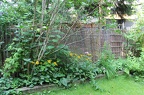 IMG 2772 01