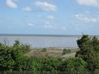 IMG 2625 01