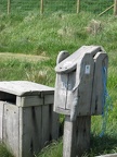 IMG 2774 01