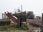 IMG 2927 01