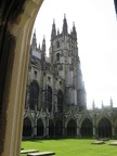IMG 3044 01