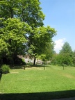 IMG 3063 01