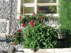 IMG 3075 01