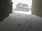 Rockwood Snow