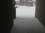 IMG 5795 01