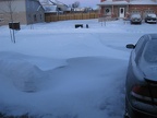 IMG 5804 01