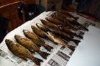 Landry Lake Smallmouth