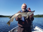 A medium size pike